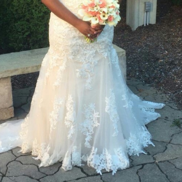 Ivory Lace Alex Milano Wedding Dress 💍👗👰 - Picture 7 of 7